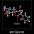 atropine.jpg