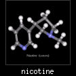 nicotine.jpg