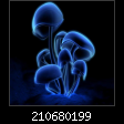 210680199.jpg