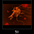50.jpg